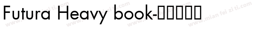 Futura Heavy book字体转换